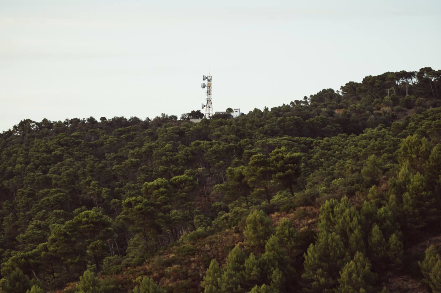Connectivity for Mobile Assets